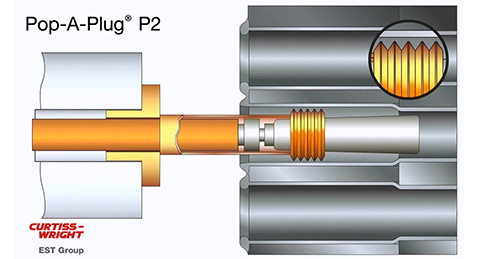 Pop A Plug Size Chart