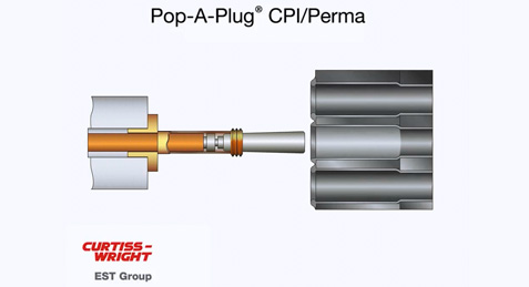 Expansion Plug Size Chart